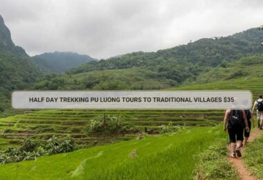 Half Day Trekking Pu Luong Tours To Traditional Villages $35