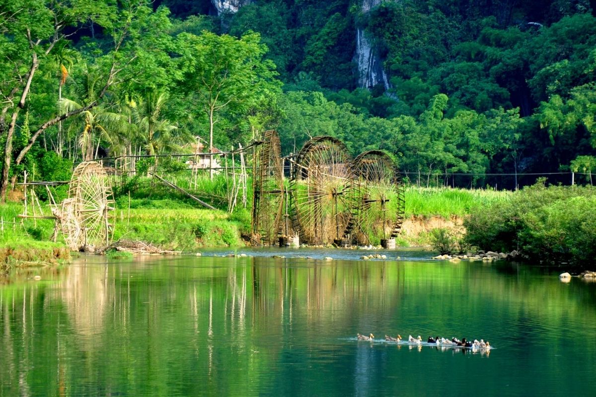 Take one of our Pu Luong Tours and in a matter of some hours you will be traversing colorful rice fields, quiet villages, and cooling streams