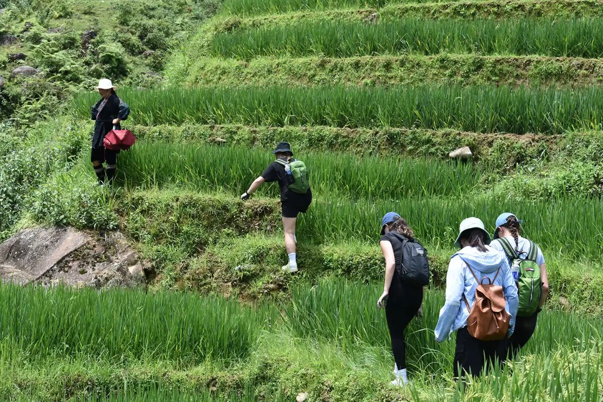 Sapa Tours Explore San Chai Grey Stone Forest: 3,4 Days