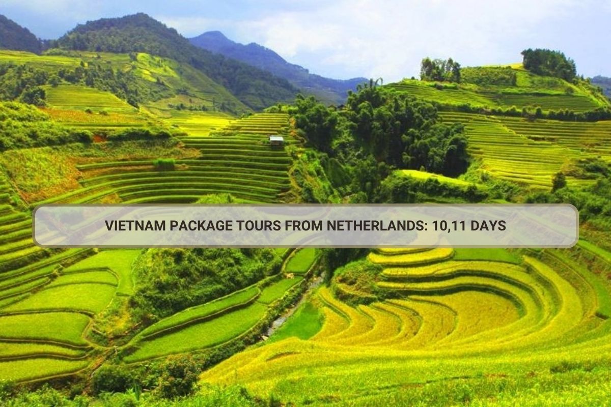 Vietnam Package Tours From Netherlands: 10,11 Days