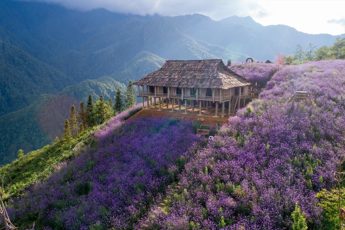Discover Muong Hoa Valley with Great for a short taste of Sapa tours