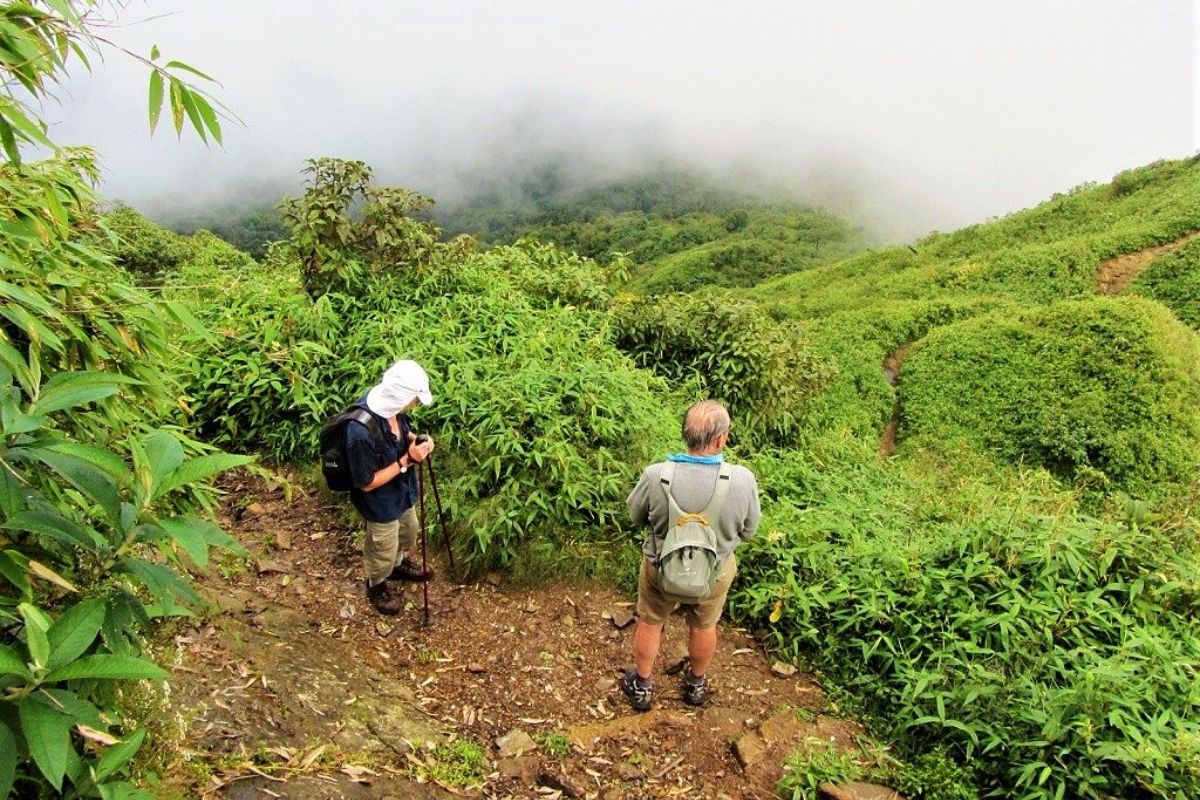 Discover the best time to visit Sapa with Trekking Fansipan Mountain 