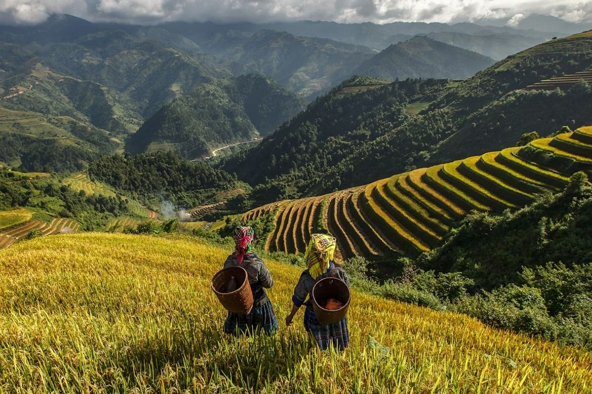 Discover the best time to visit Sapa