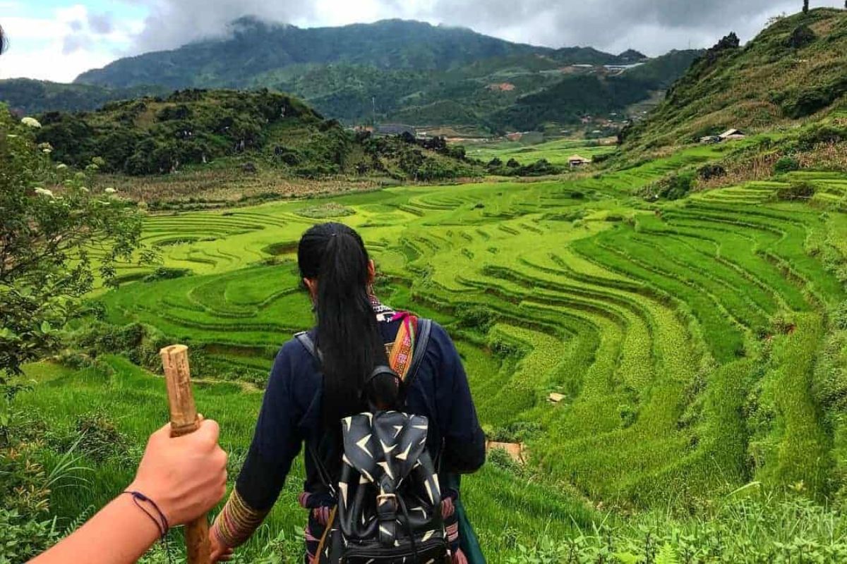 Trekking in Muong Hoa Valley