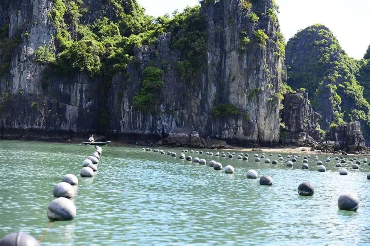 Enjoy in Pearl Farm with Hanoi & Halong tours