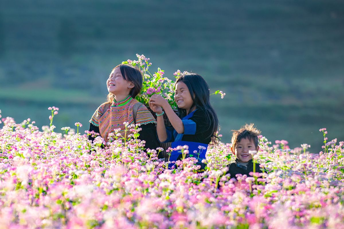 Ha Giang’s hills