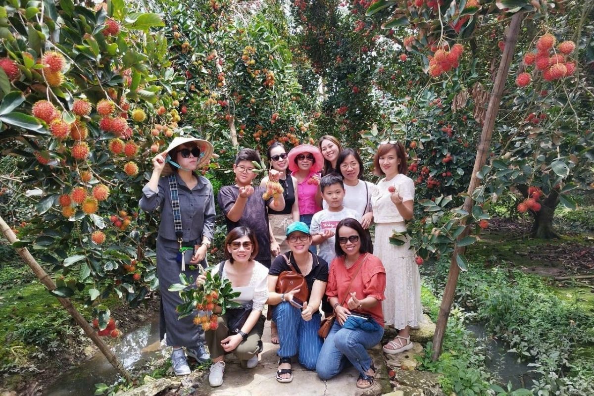 Pick fruits in the orchard