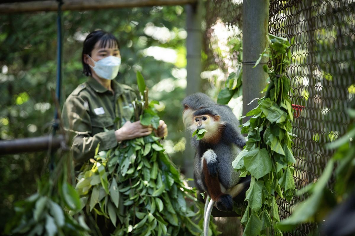Primate Rescue Center