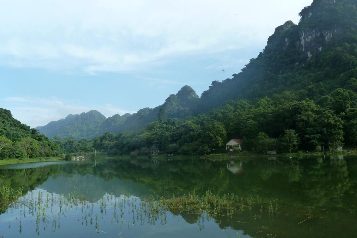 Discover Cuc Phuong National Park in the top tourist destinations in Nho Quan