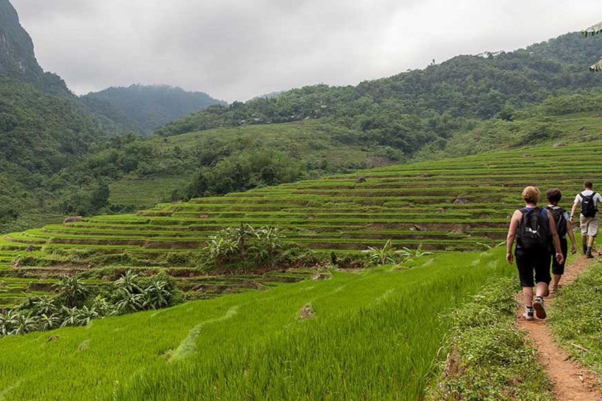 Trek to Ban Don Village with Pu Luong Tours stay at Chieng Lau Homestay