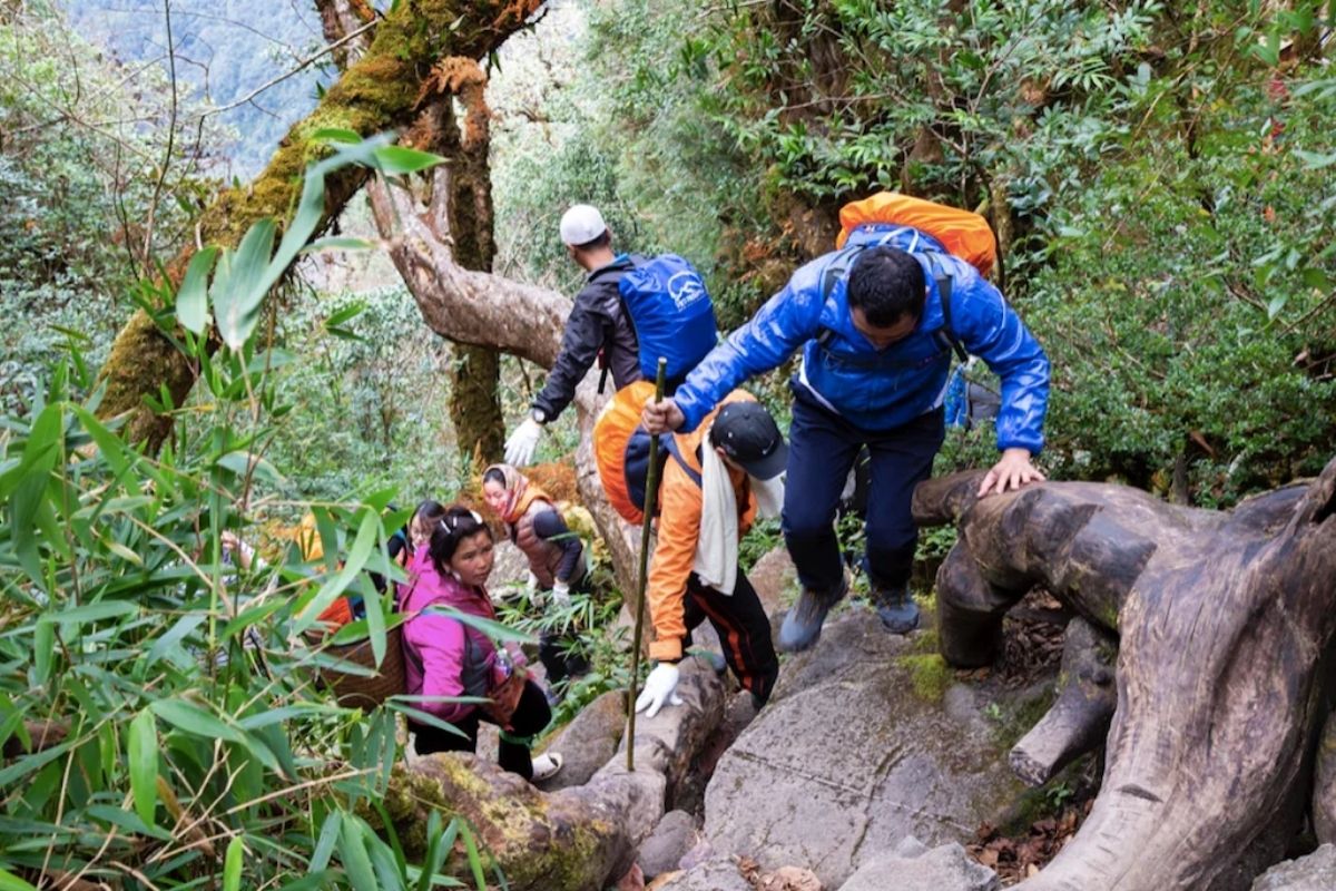 Sapa where to go: Trekking in Fansipan Mountain