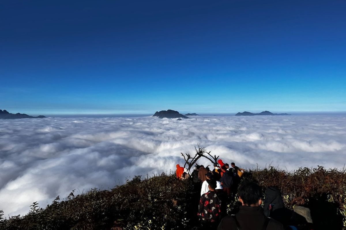 Cloud Hunting at Hang Da, Y Ty