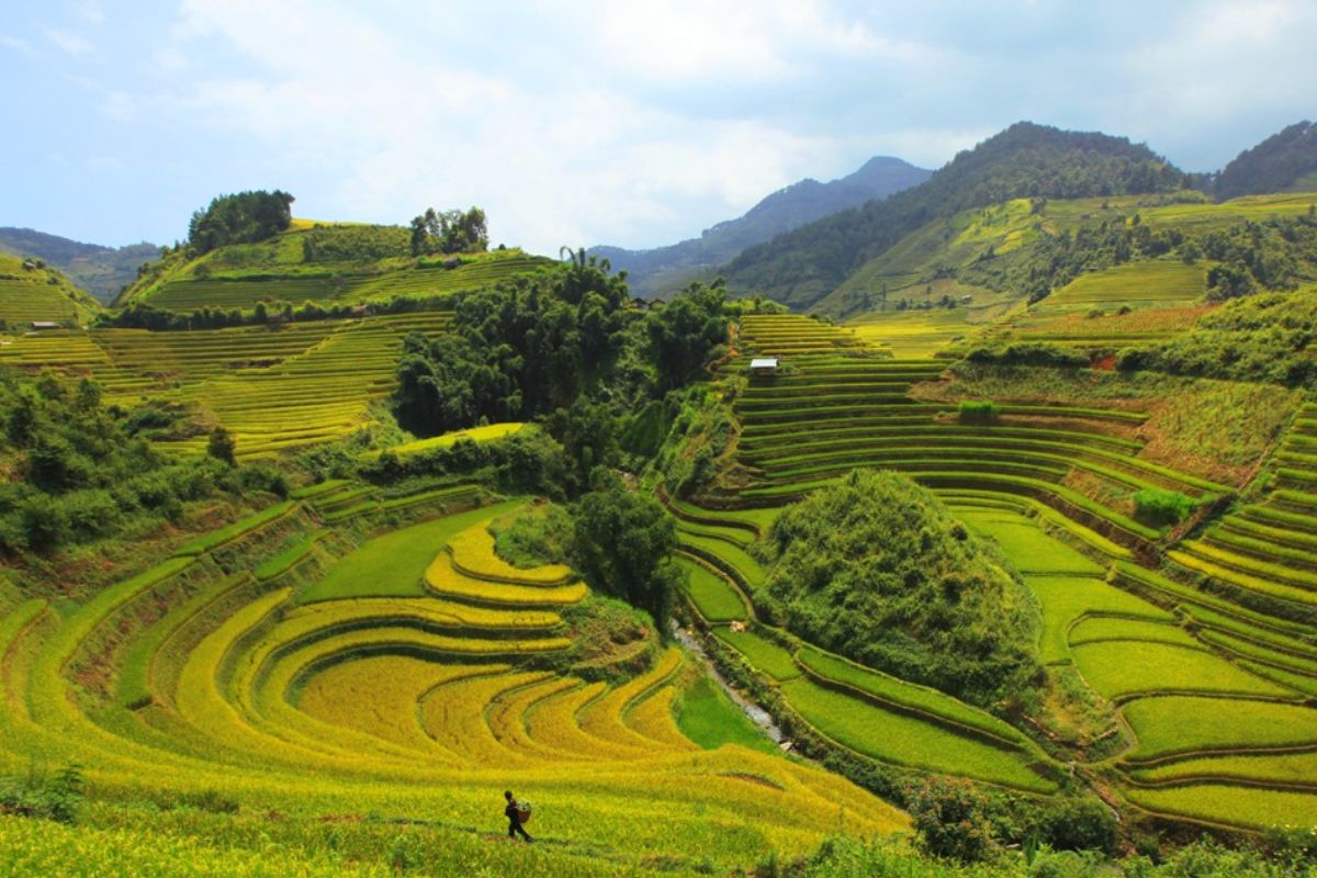 Explore Pu Luong Nature Reserve with Mai Chau to Pu Luong tours of Adventure