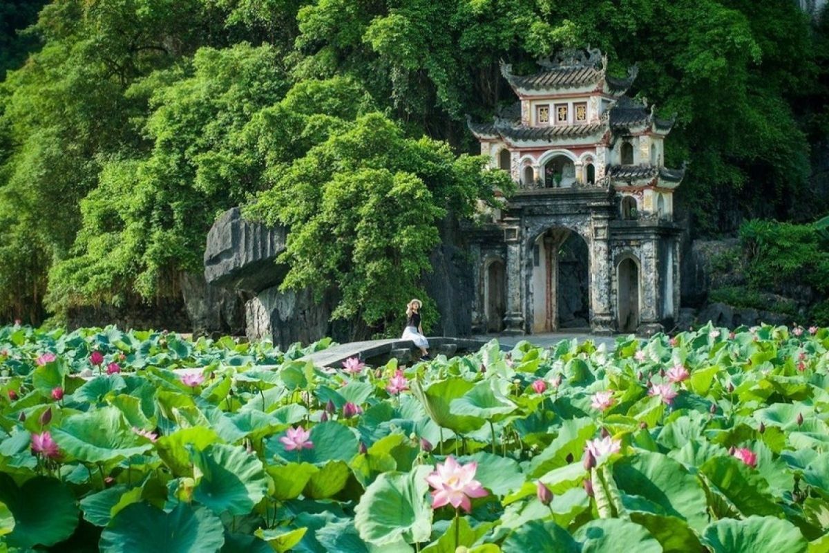 Discover the Mystical Bich Dong Pagoda with best things to do in ninh binh