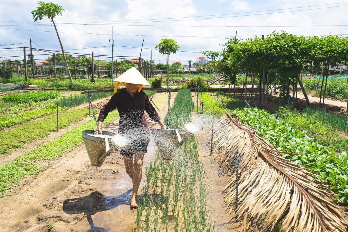 Tra Que Vegetable Village