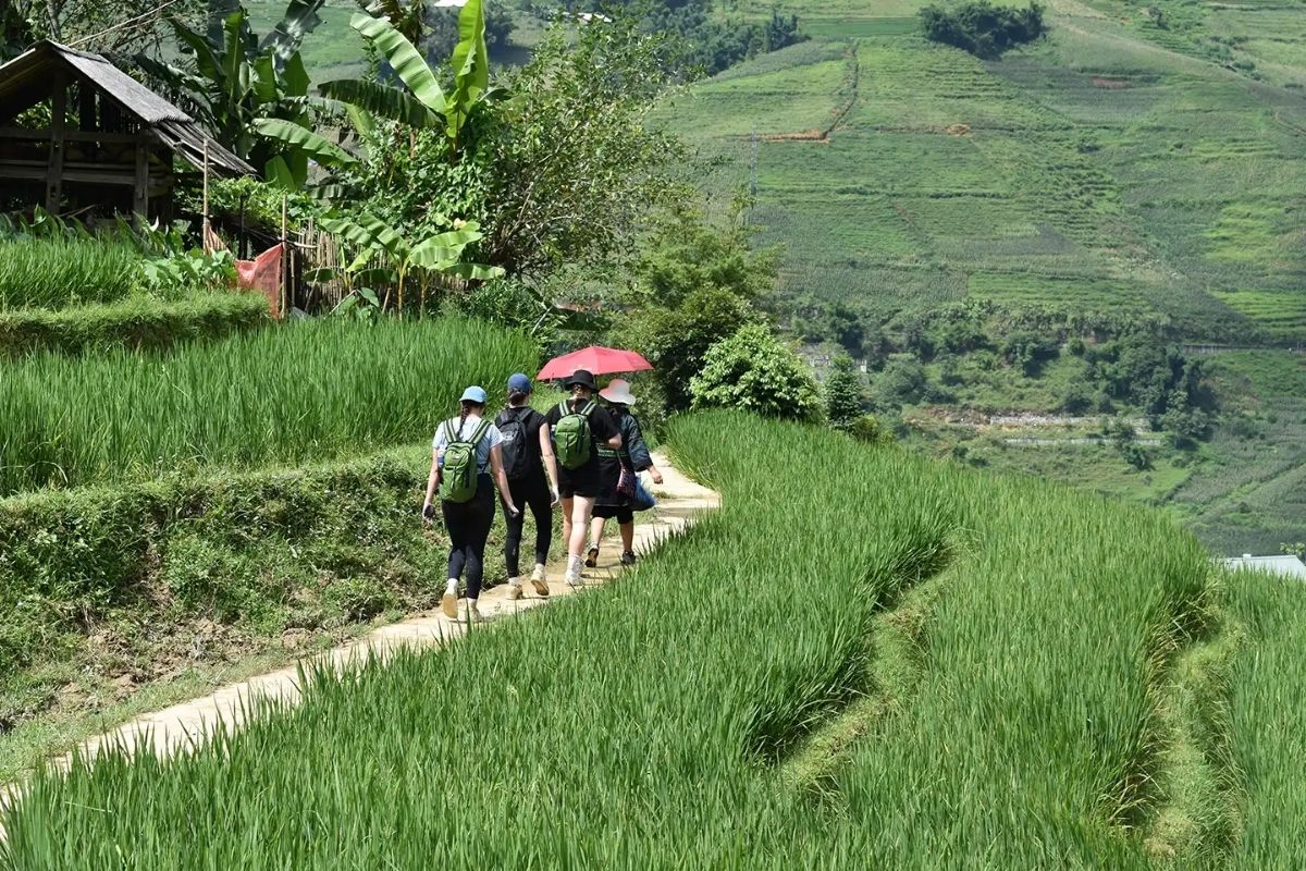 Hike down through the stunning Muong Hoa Valley with Vietnam package tours from Hanoi