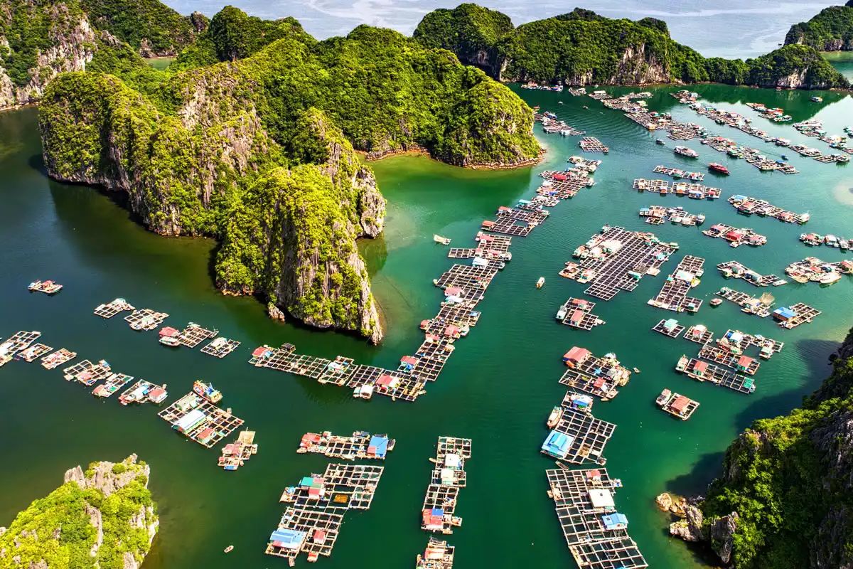 Discover fishing village with Vietnam package tours from Hanoi