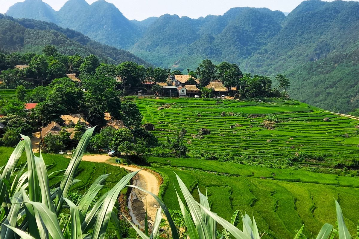 Explore Pu Luong Nature Reserve with Vietnam travel guide