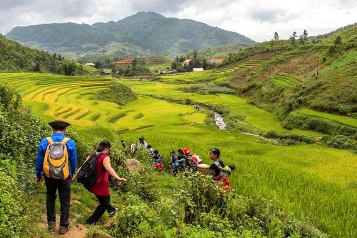 Where is Sapa when Trekking in Muong Hoa Valley.