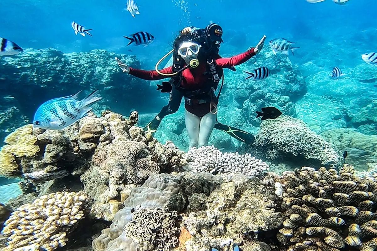 Cham Island Snorkeling with Vietnam Beach and Island package tour