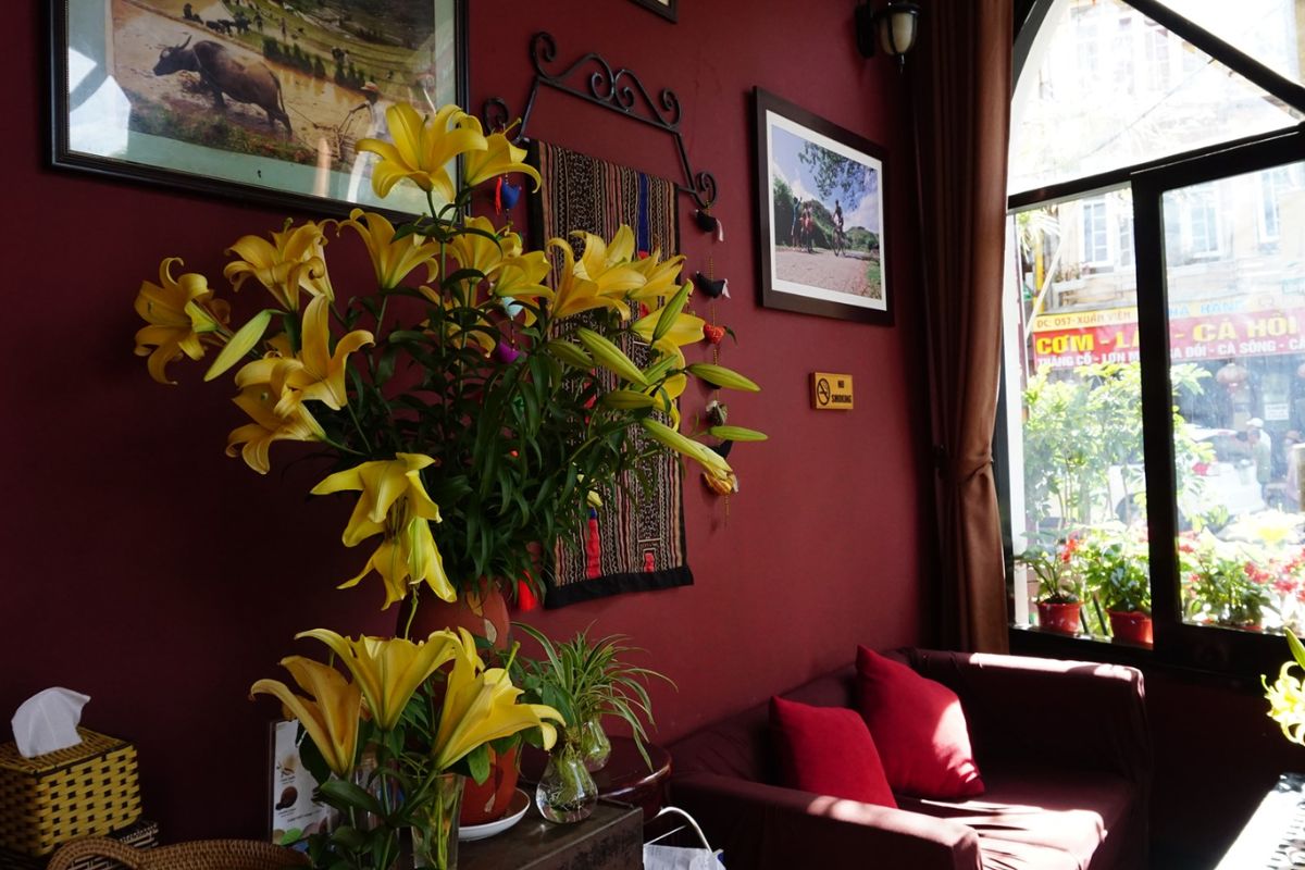 Le Gecko Cafe
