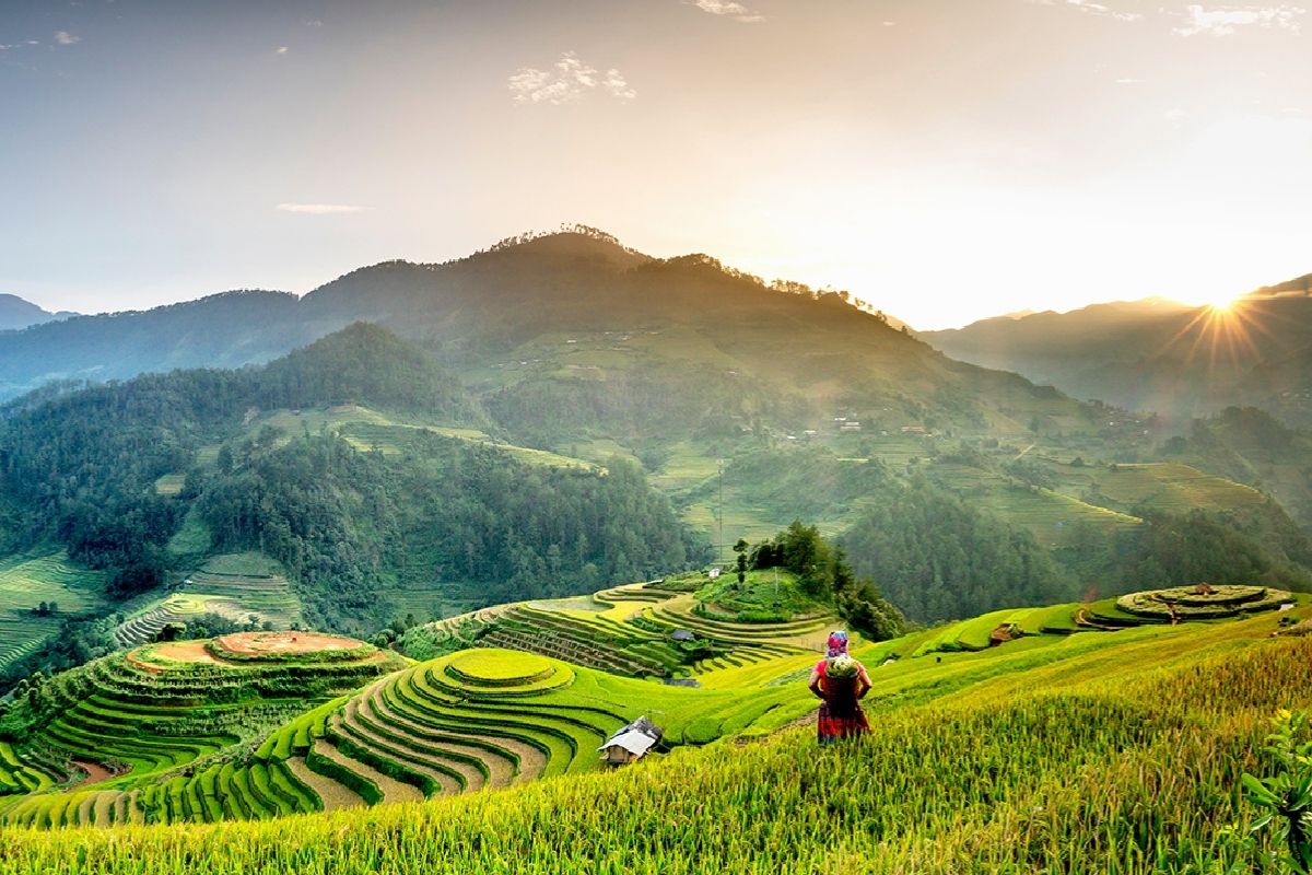 The rice fields in La Pan Tan with mu cang chai fun facts