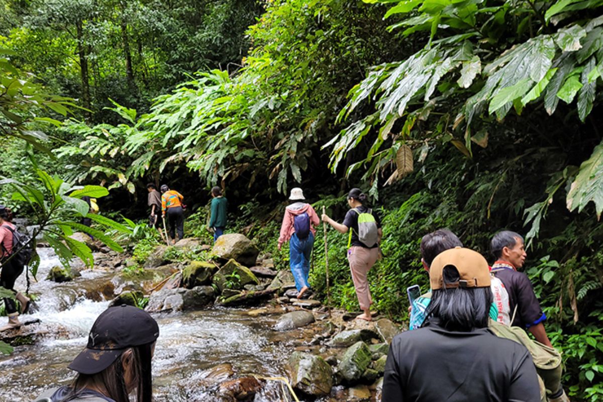 Trek 4: Kim Noi Forest Loop Trail