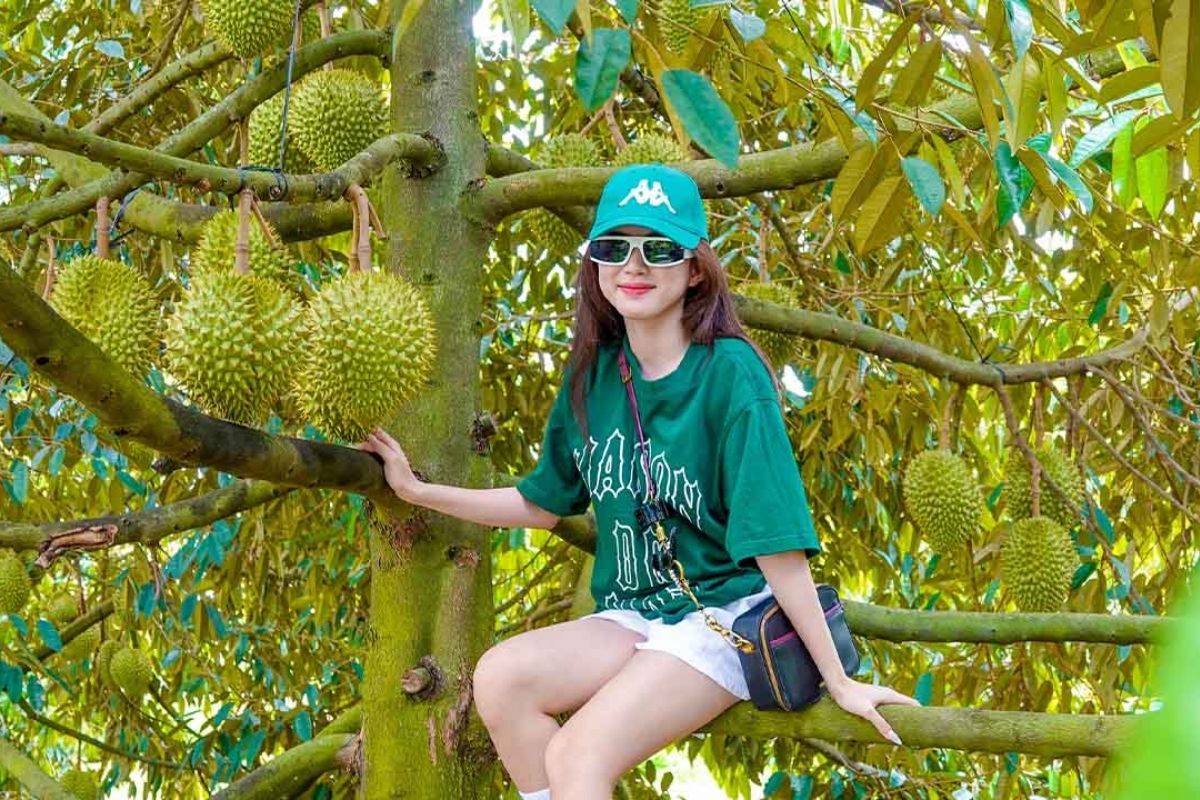 Travel to Cai Mon Orchard with Mekong River Tour