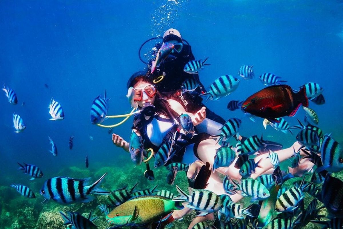 Snorkeling in Hon Mun Island with Nha Trang Island Tour Packages