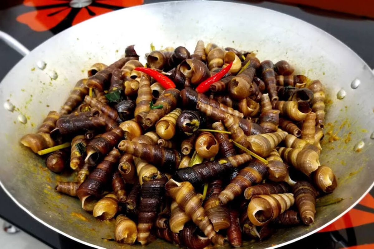Oc Hut - Spicy Stirred Snails