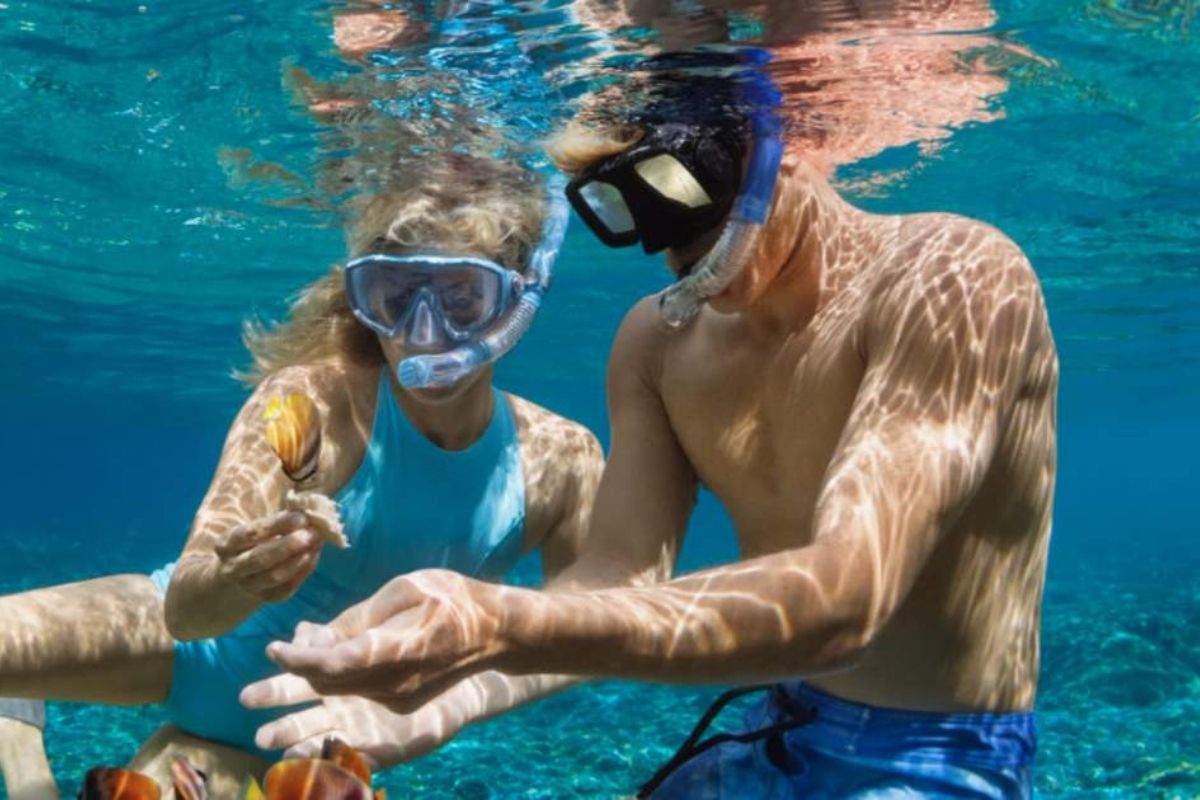 Son Tra Peninsula Snorkeling