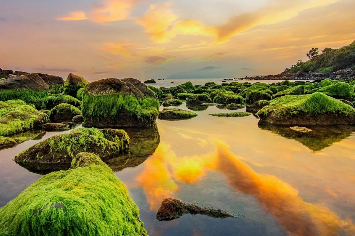 Da Nang surf with Nam O Beach