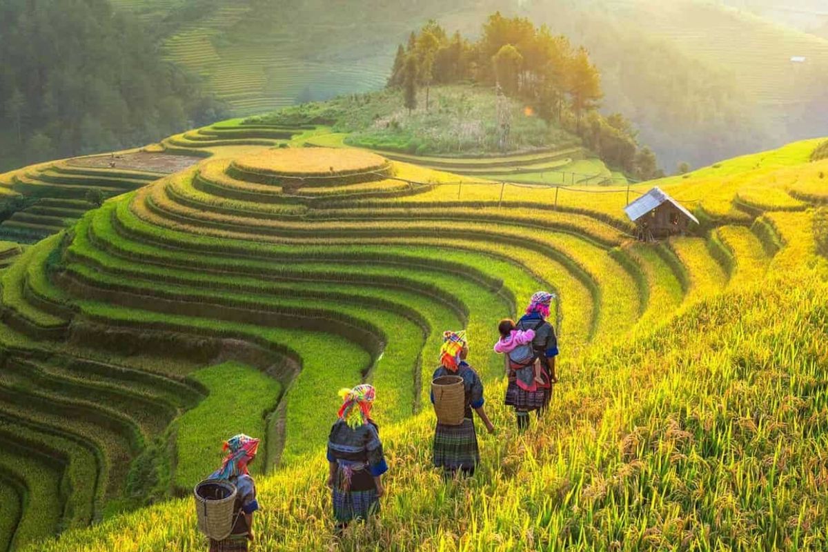 Pu Luong 2 Days Tour with take a photo in Terraced Rice Fields