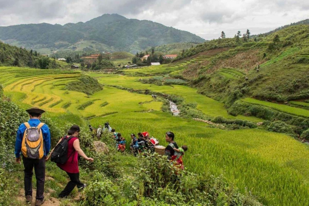 Hike Through Sapa Valley Trails