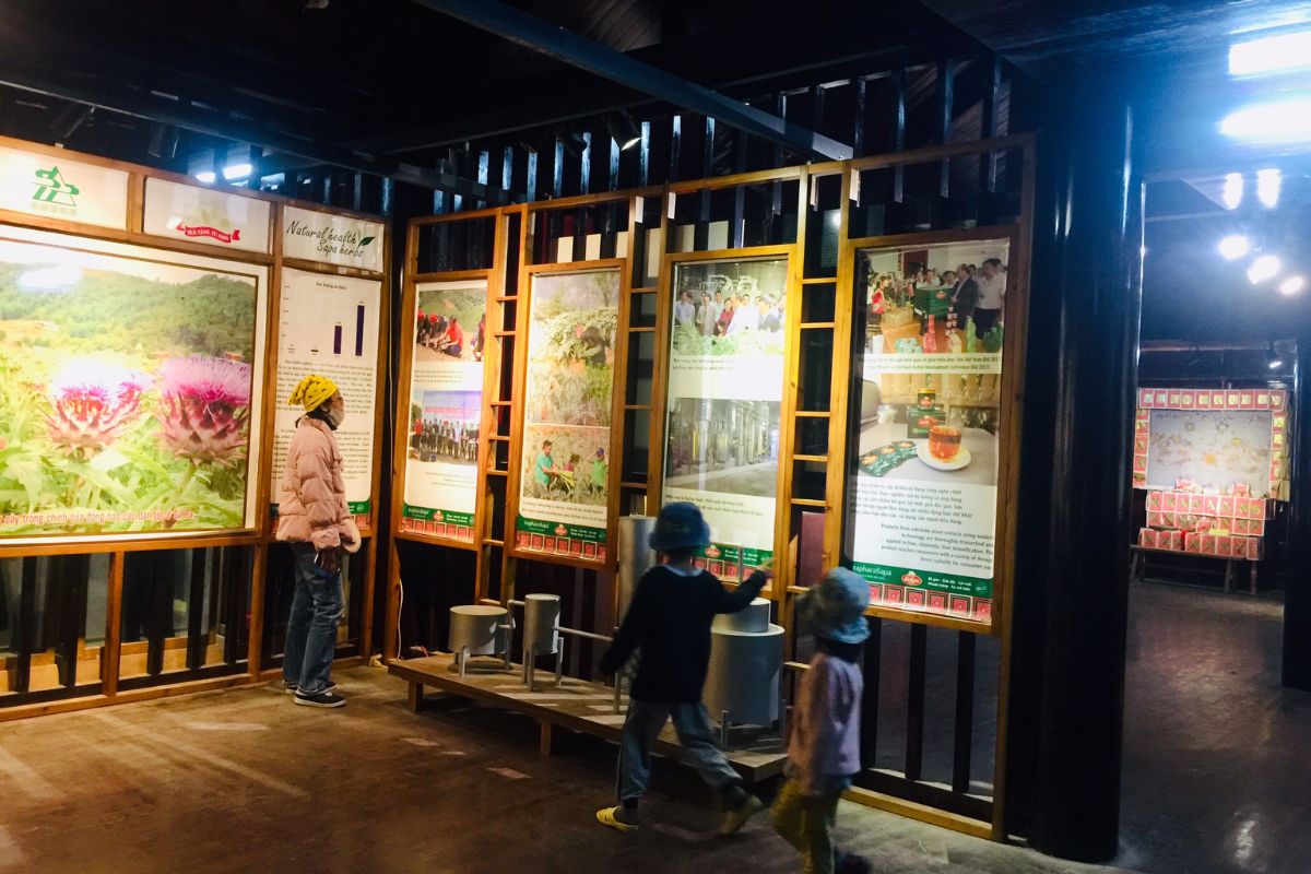 Documentary Corner