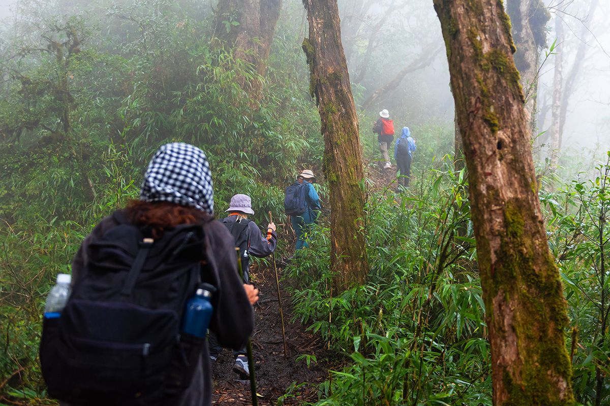 Tay Con Linh Mountain trekking