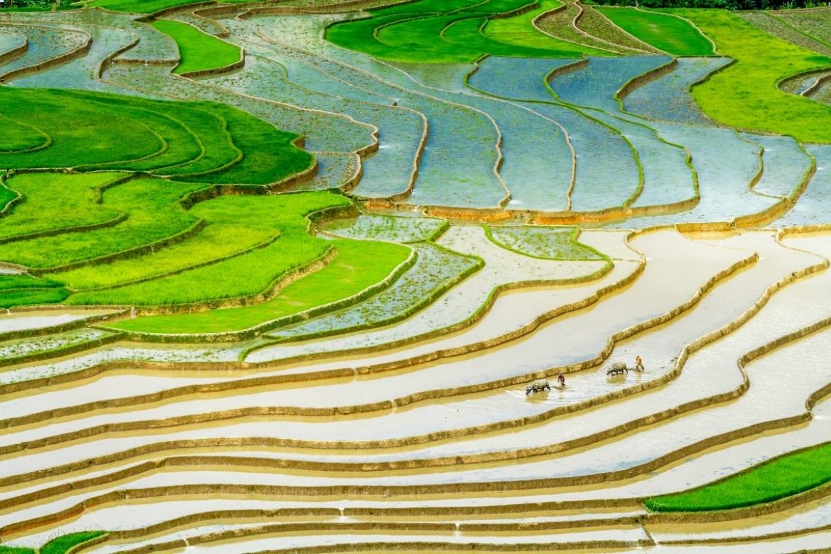 Water-Filled Terraces
