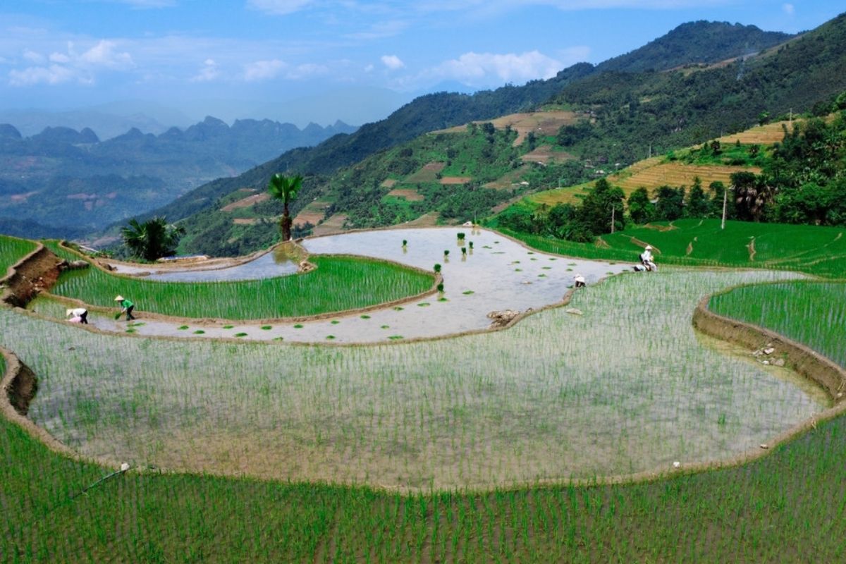 Water-Pouring Season with Ha Giang Weather in July