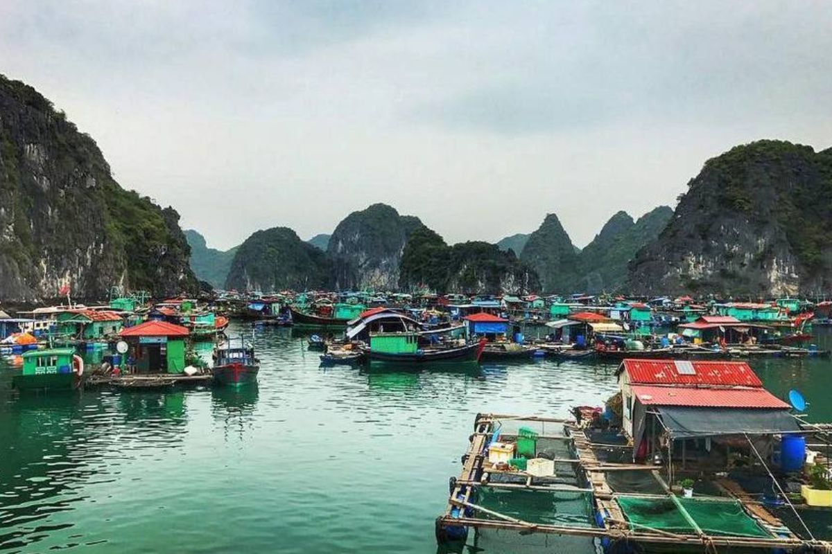 Cua Van Floating Village