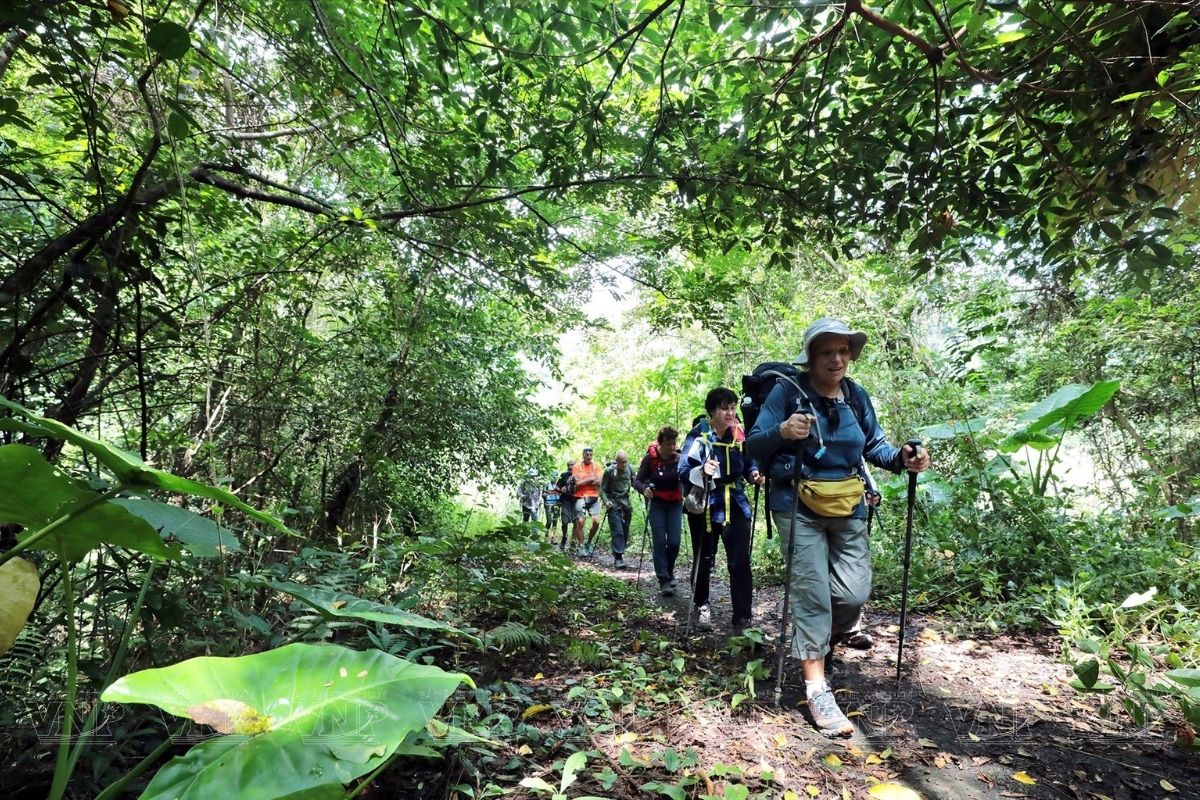 Halong Bay activities with Hiking Cat Ba Island