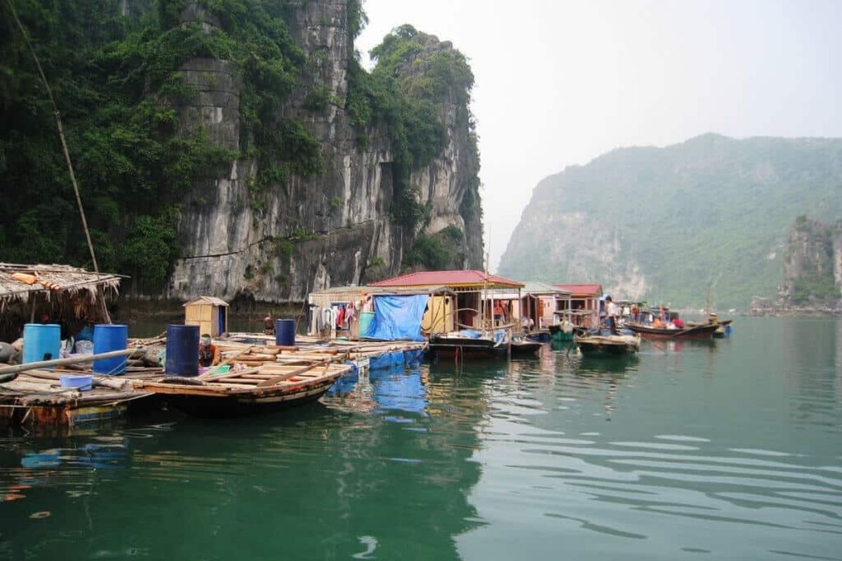 Discover authentic coastal life with Halong tours visit Ba Hang Floating Fishing Village