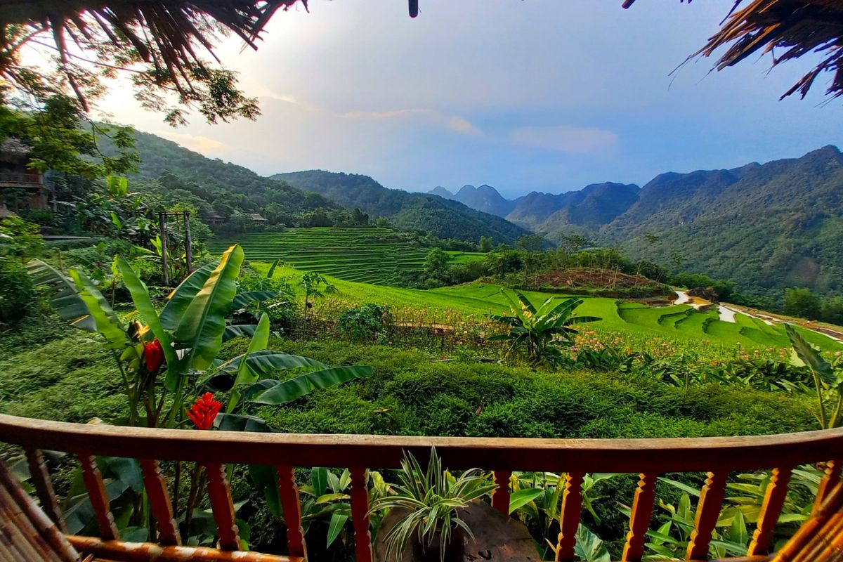Pu Luong Nature Reserve