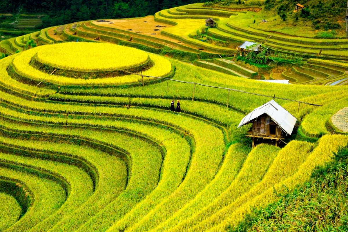 Post-war Terraced field development in Sapa Vietnam War