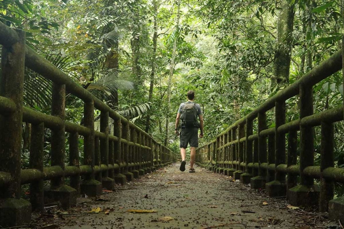 Trekking & Wildlife at Cuc Phuong National Park