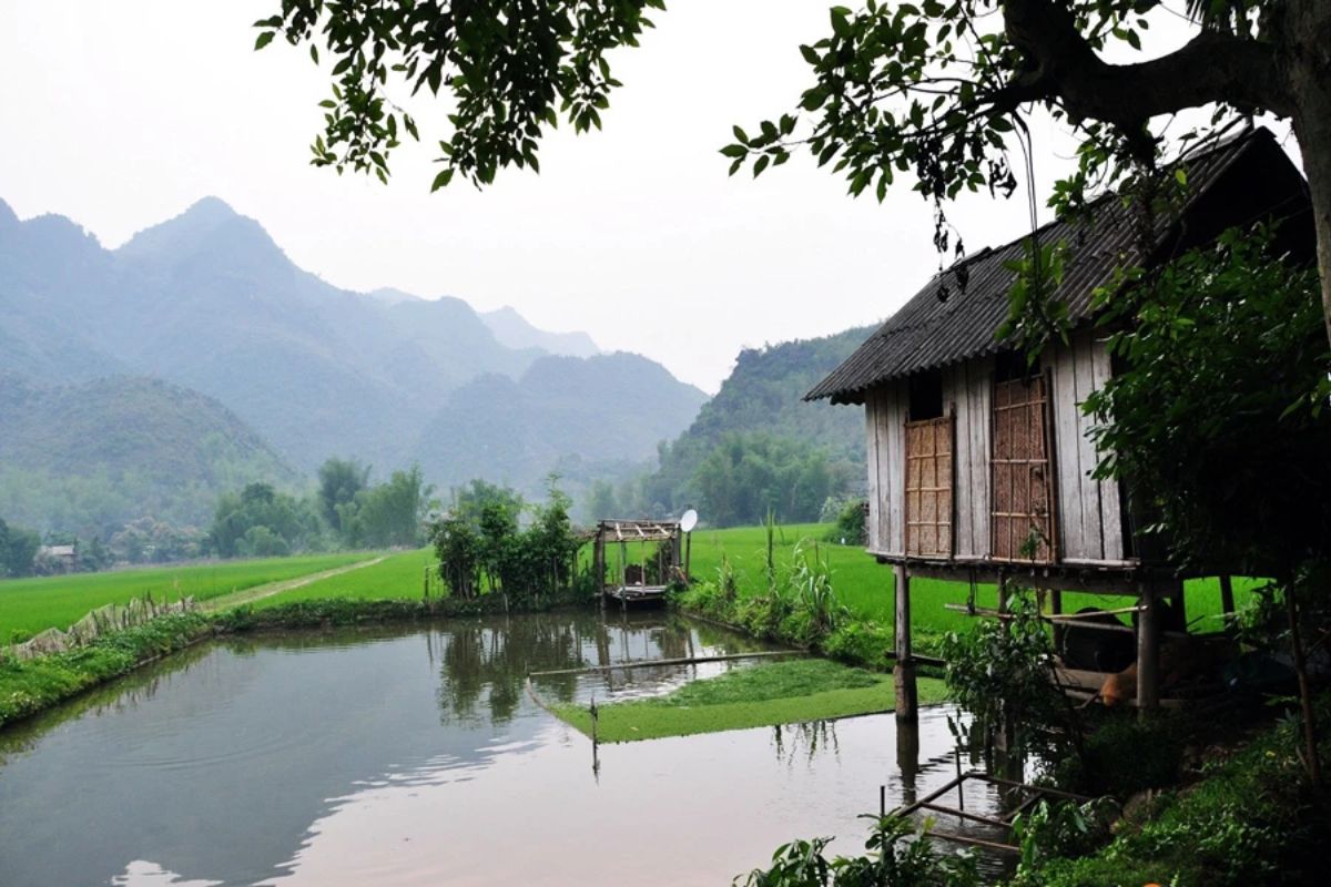 Pom Coong Village – Experience Thai Traditions