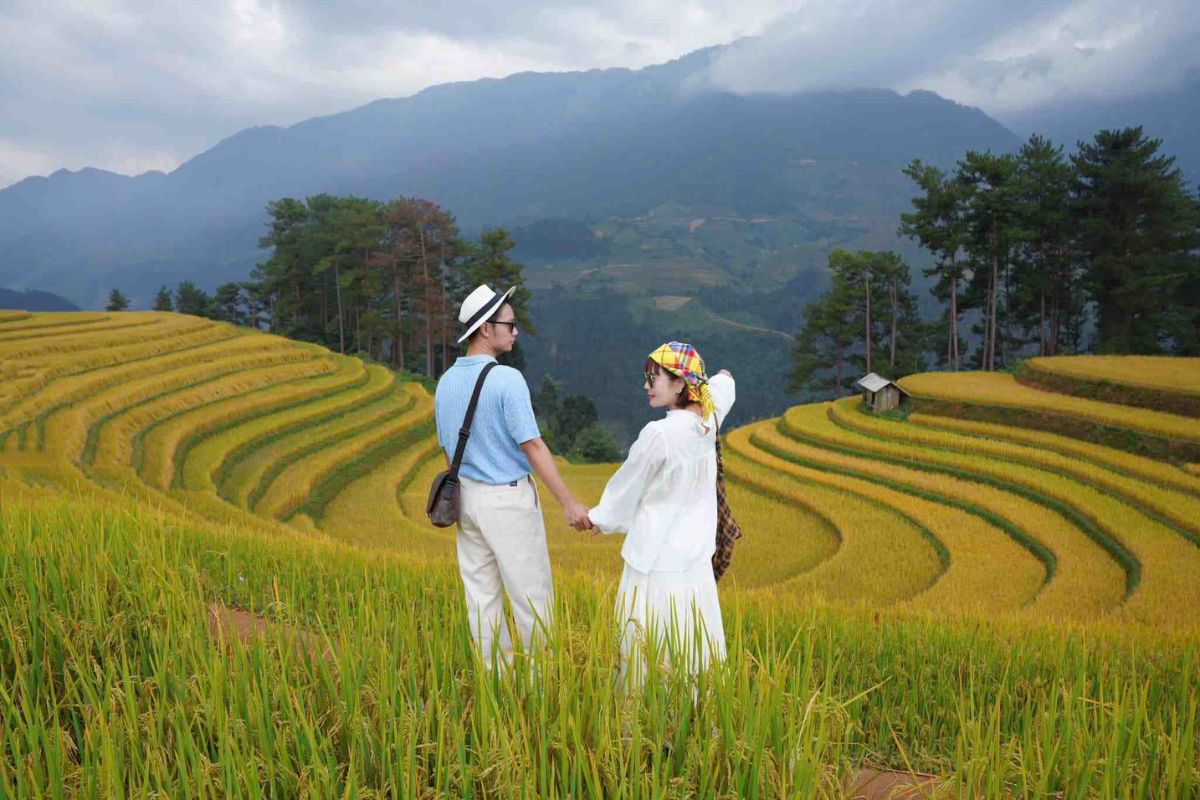 Rice Seasons