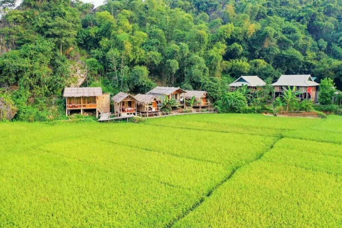 Mai Chau Pu Luong 2 Days tour