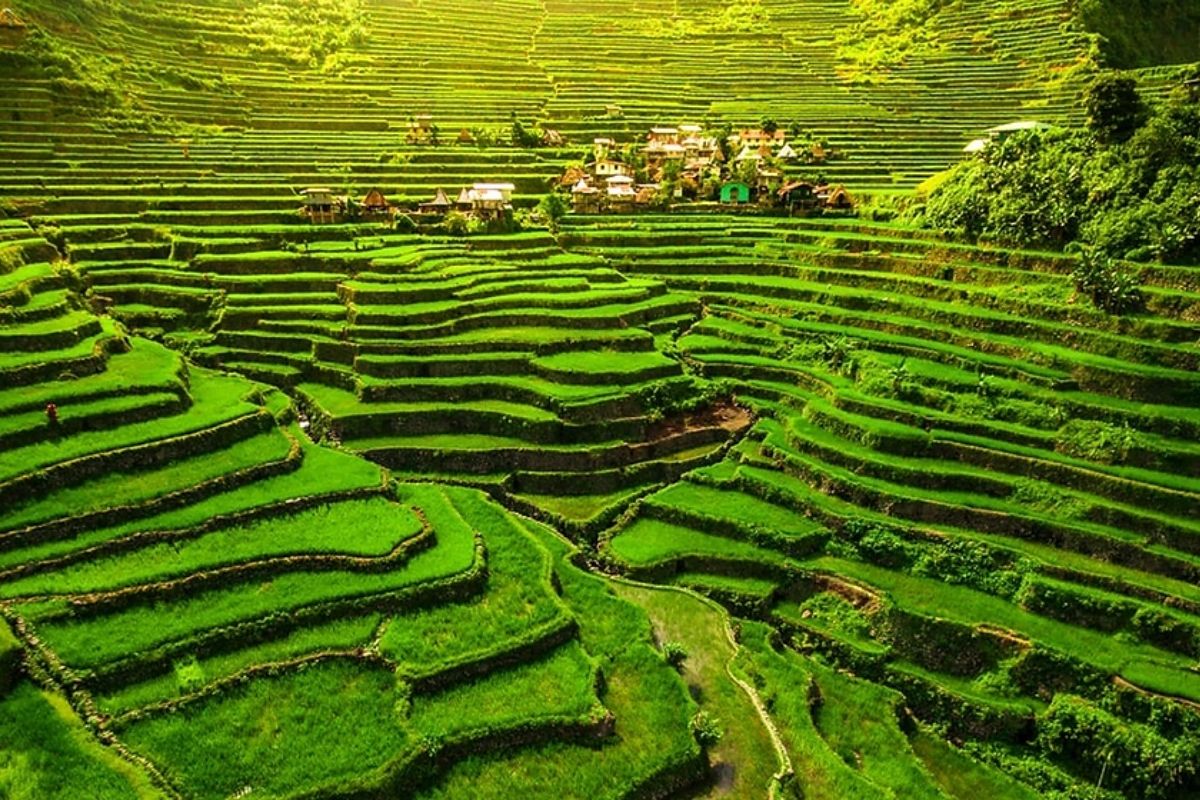 Discover the beauty of Rice terraces with Mai Chau Pu Luong 3 Days 2 Nights