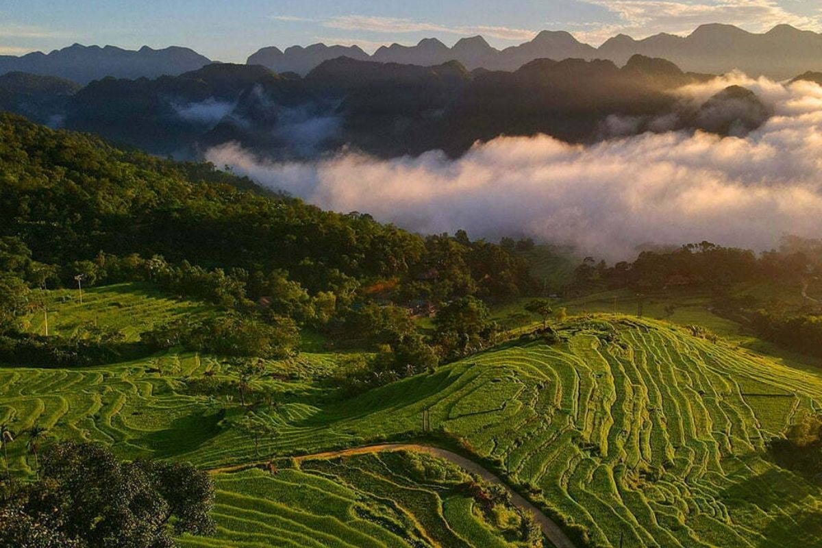 Discover the nature of Pu Luong Nature Reserve by Mai Chau to Pu Luong Bus 