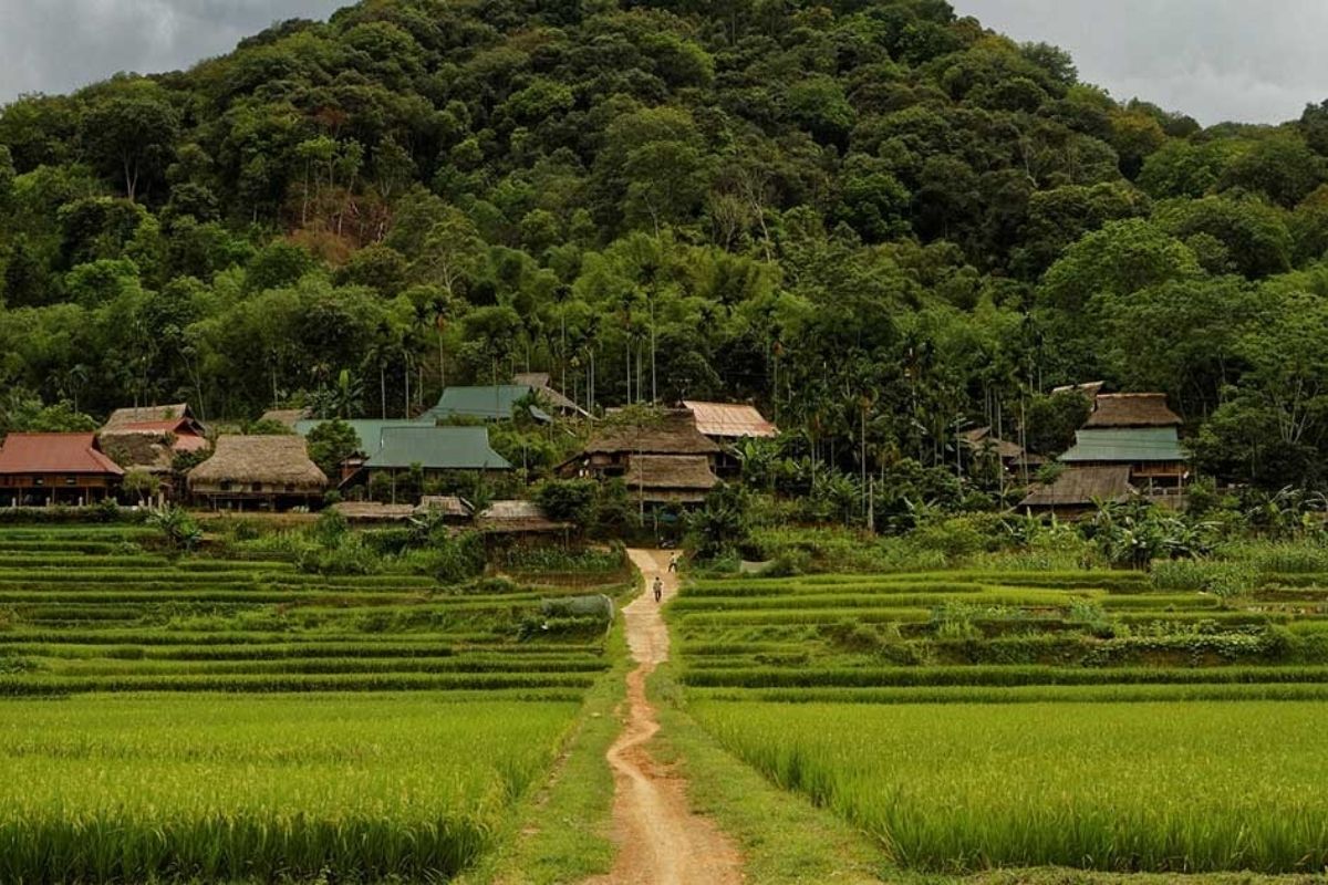 Pu Luong Nature Reserve